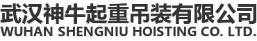 武漢向日葵影视起重（chóng）吊裝有限公司（sī）